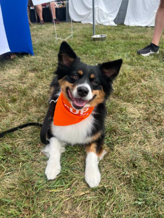 pup pic.jpg