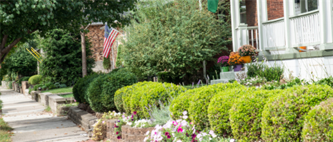 Sidewalk and Homes in the Merion Village Neighborhood