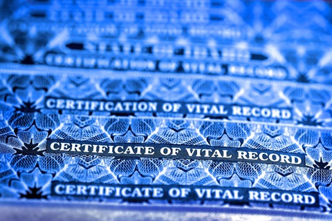 Vital Stats Certificate