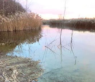 IMG_1287Size4x6CROP.jpg