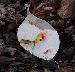 Trash leaf1