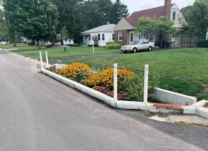 RainGardenStreetside6x4.jpg