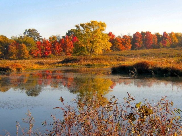 fall-colors.jpg