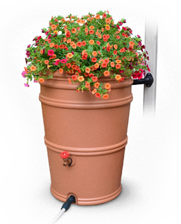 trans_rainstation_flowers_terracotta.png
