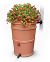 trans_rainstation_flowers_terracotta.png