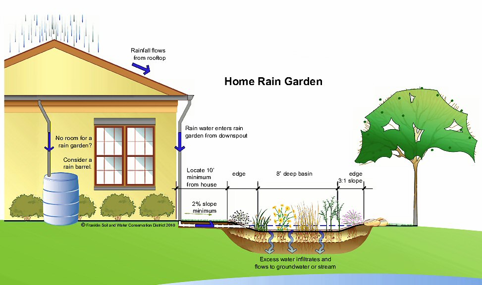 Home Rain Garden Illustration